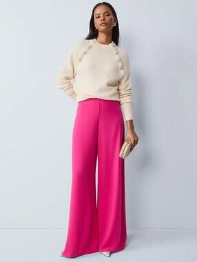 Ann Taylor The Statement Palazzo Wode Leg Pant Electric Pink Petite 4